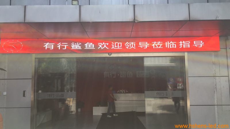 有行鲨鱼02.jpg
