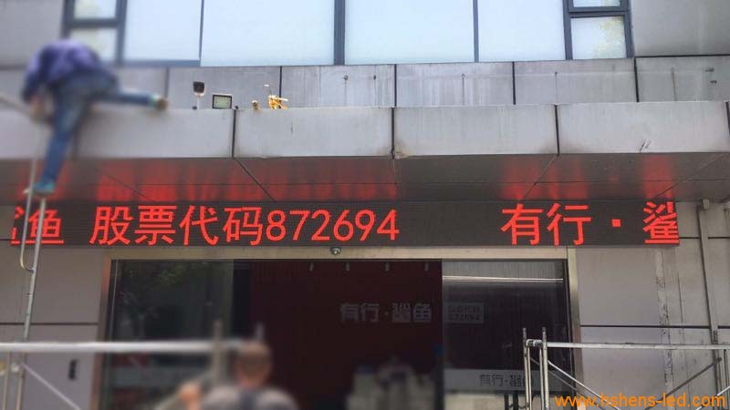 有行鲨鱼01.jpg